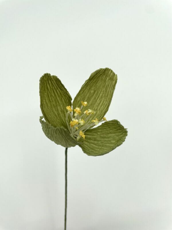 Crepepapirblomst, Lille, Grøn 40cm x 6cm