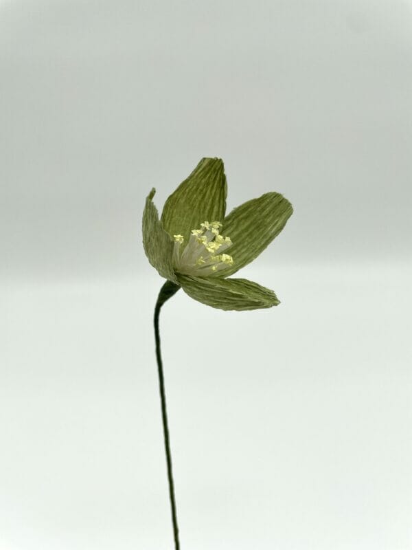 Crepepapirblomst, mini, Grøn, 20 cm x 3 cm