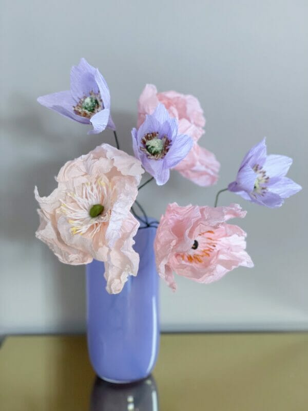 Crepepapirblomst, Anemone, lille, svag lilla, 35 cm x 5 cm