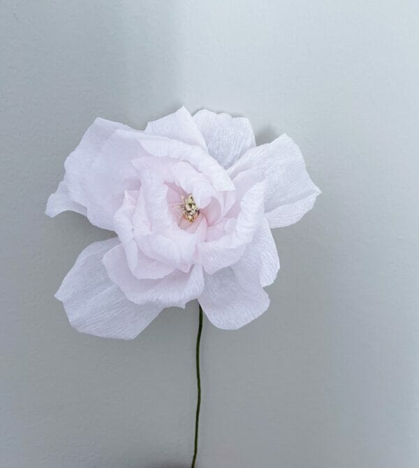 Crepepapirblomst, Rose, Mellem, sart lyserød, 35 cm x 10 cm